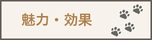 魅力・効果