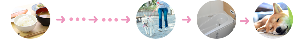 さんSUNグループホーの1日